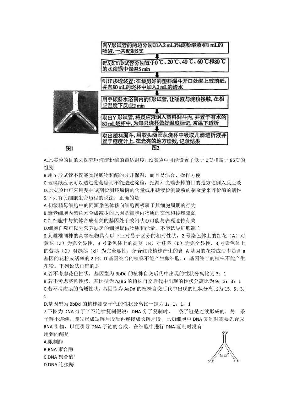 广东省2023届高三学业水平选择性模拟考试（二）生物试卷及答案.pdf_第2页