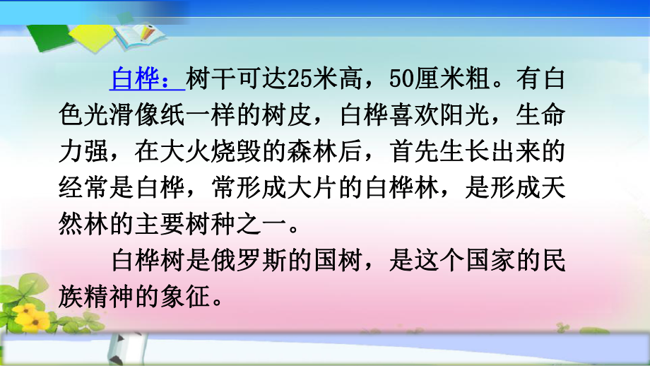 人教部编版四年级语文下册教学课件11《白桦》.pptx_第3页