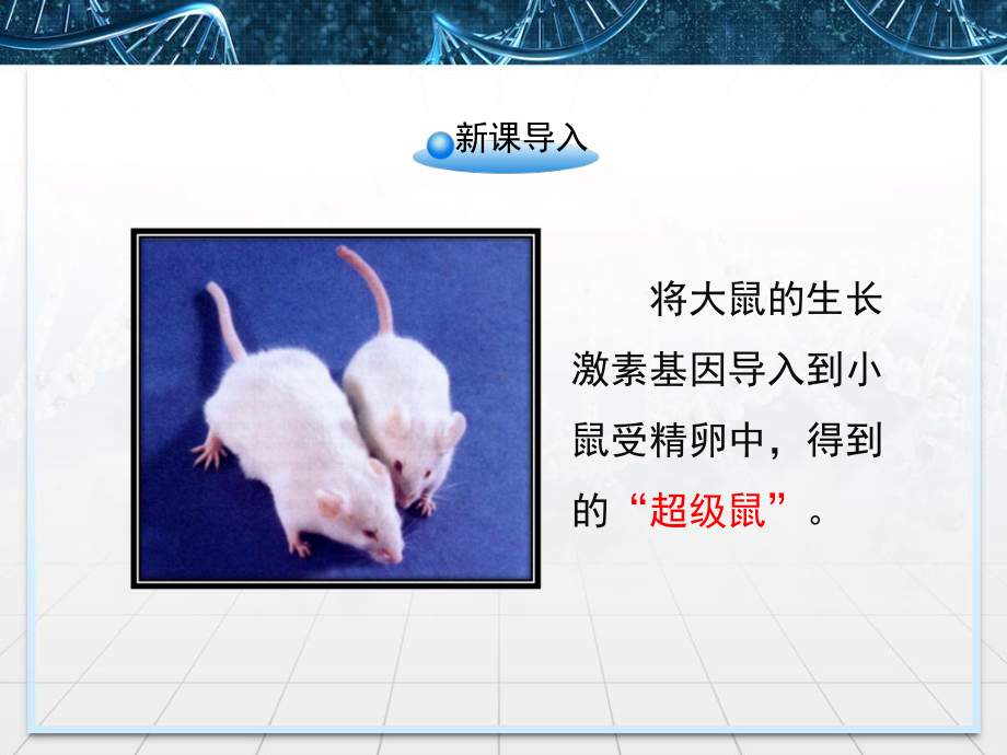 人教版高中生物选修三12《基因工程的基本操作程序》课件.ppt_第2页