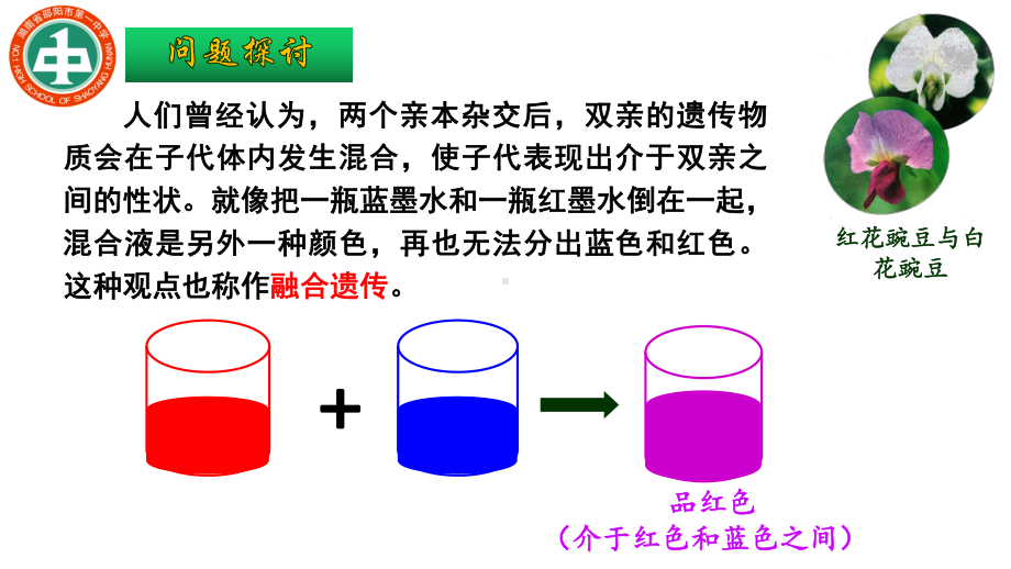 11孟德尔豌豆杂交实验(一)-课件（新教材）人教版高中生物必修二-高中生物公开课.ppt_第2页