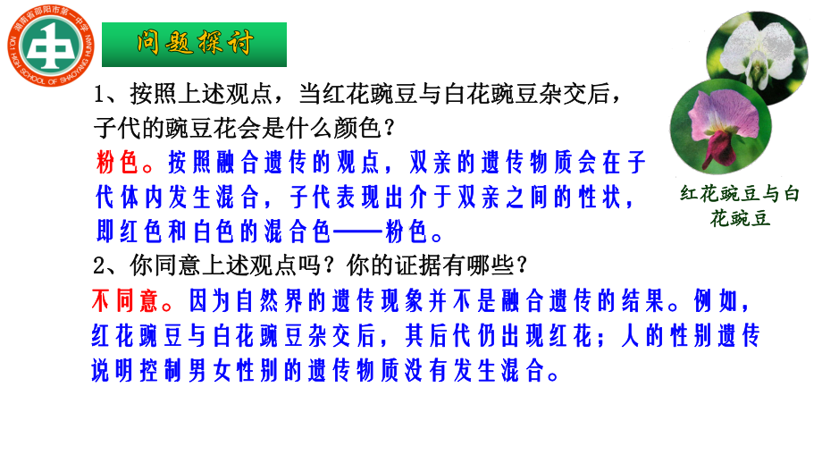 11孟德尔豌豆杂交实验(一)-课件（新教材）人教版高中生物必修二-高中生物公开课.ppt_第3页