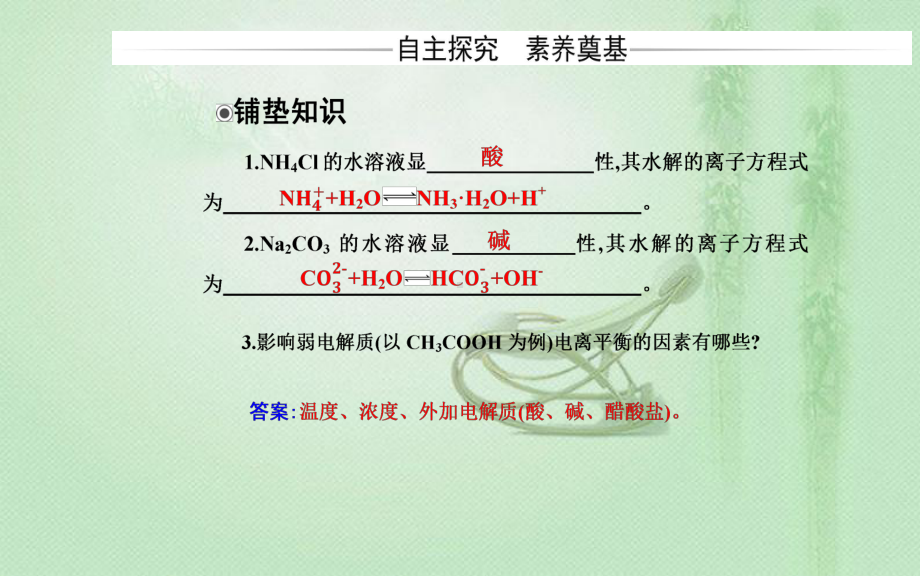 2021-2022学年人教版新教材选择性必修第一册 第3章 第3节课时3　影响盐类水解的主要因素 盐类水解的应用 课件（33张）.ppt_第3页