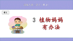 (部编)人教版小学二年级语文上册《植物妈妈有办法》优秀课件.ppt