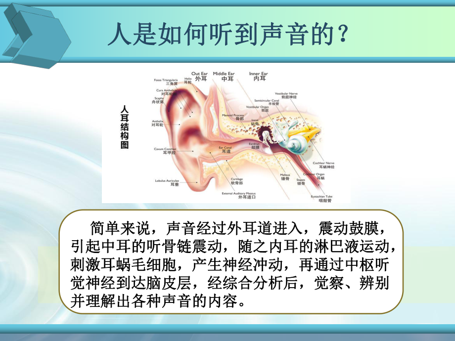 儿童耳及听力保健培训资料课件.ppt_第2页