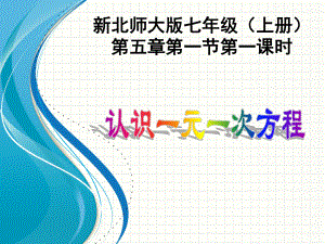 一元一次方程公开课课件.ppt