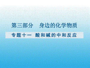 （课件）九年级化学复习专题十一：酸和碱的中和反应.pptx