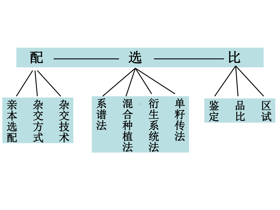 作物育种6第六章杂交育种课件.ppt_第3页