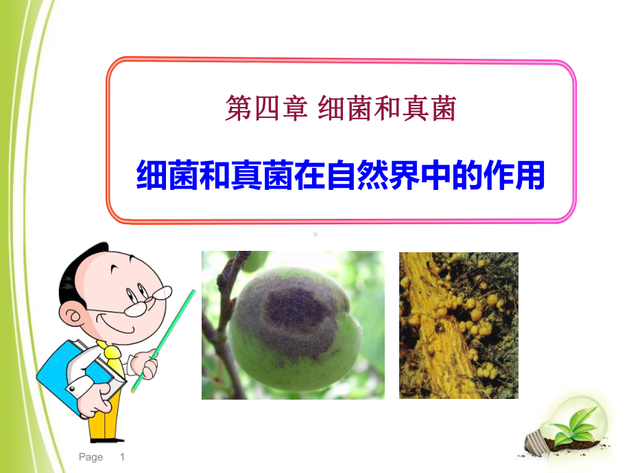 人教版八年级生物上册课件-细菌和真菌在自然界中的作用4.ppt_第1页