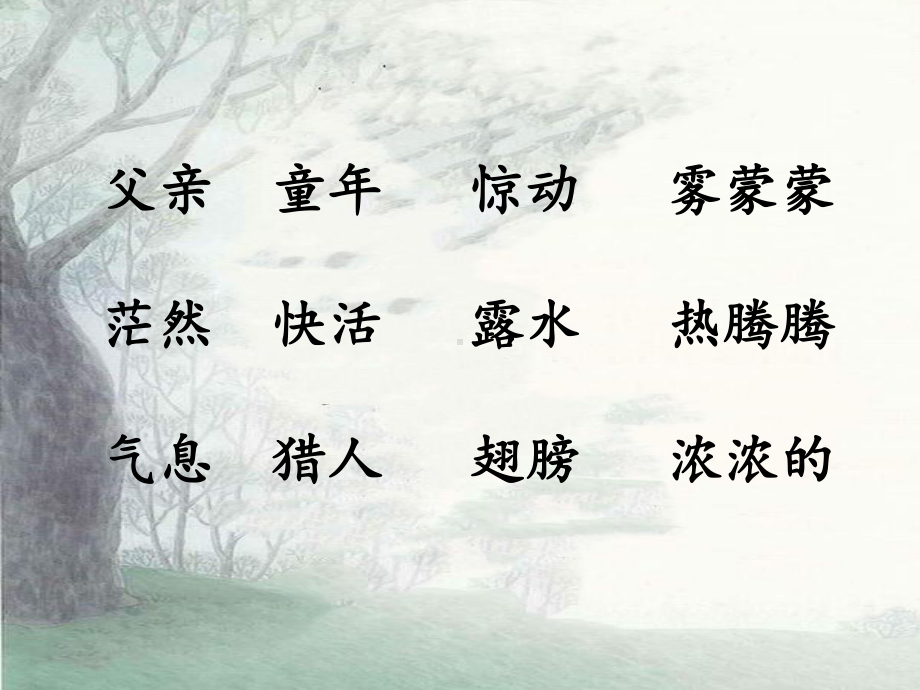 (部编)人教版小学语文三年级上册《-22-父亲、树林和鸟》-优质课课件参考.ppt_第2页