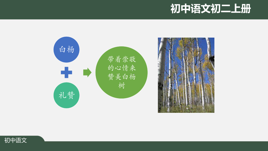 初二语文(人教统编)《白杨礼赞(第一课时)》（教案匹配版）最新国家级中小学课程课件.pptx_第3页