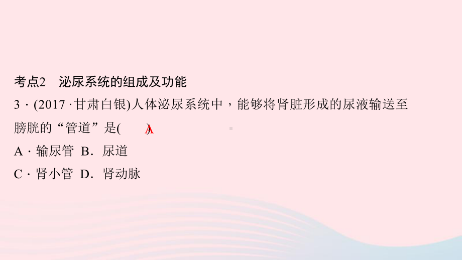 七年级生物下册第四单元第五章人体内废物的排出考点突破习题课件(新版)新人教版.ppt_第3页