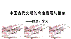 2021届高三一轮复习《唐宋变革》课件(.pptx