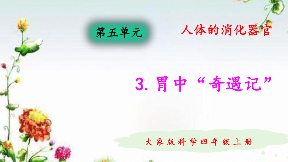 2020新大象版科学四年级上册53胃中“奇遇记”课件练习题及答案.pptx_第1页