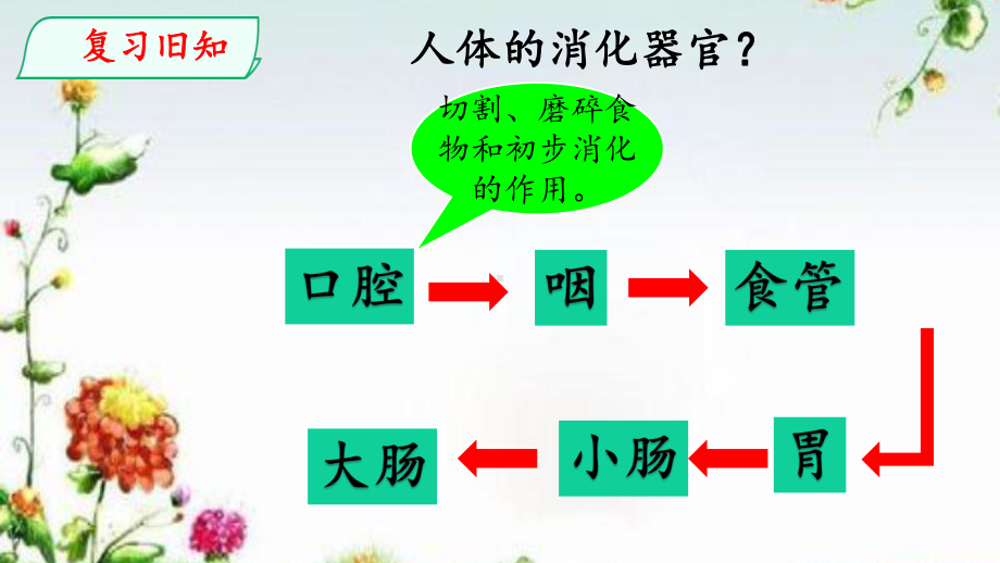 2020新大象版科学四年级上册53胃中“奇遇记”课件练习题及答案.pptx_第2页