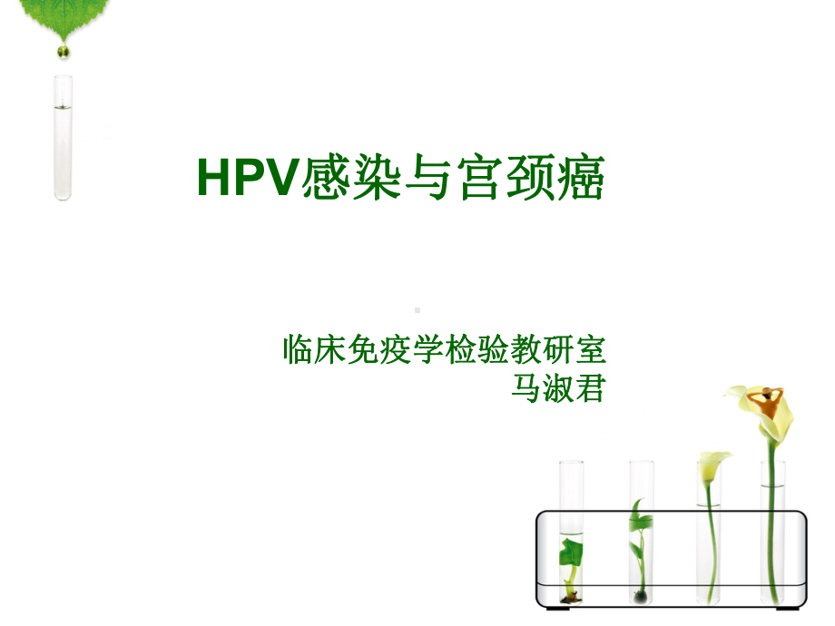 HPV感染与宫颈癌参考教学课件.ppt_第1页