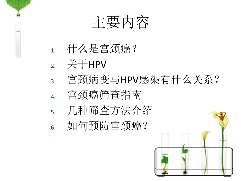 HPV感染与宫颈癌参考教学课件.ppt_第3页