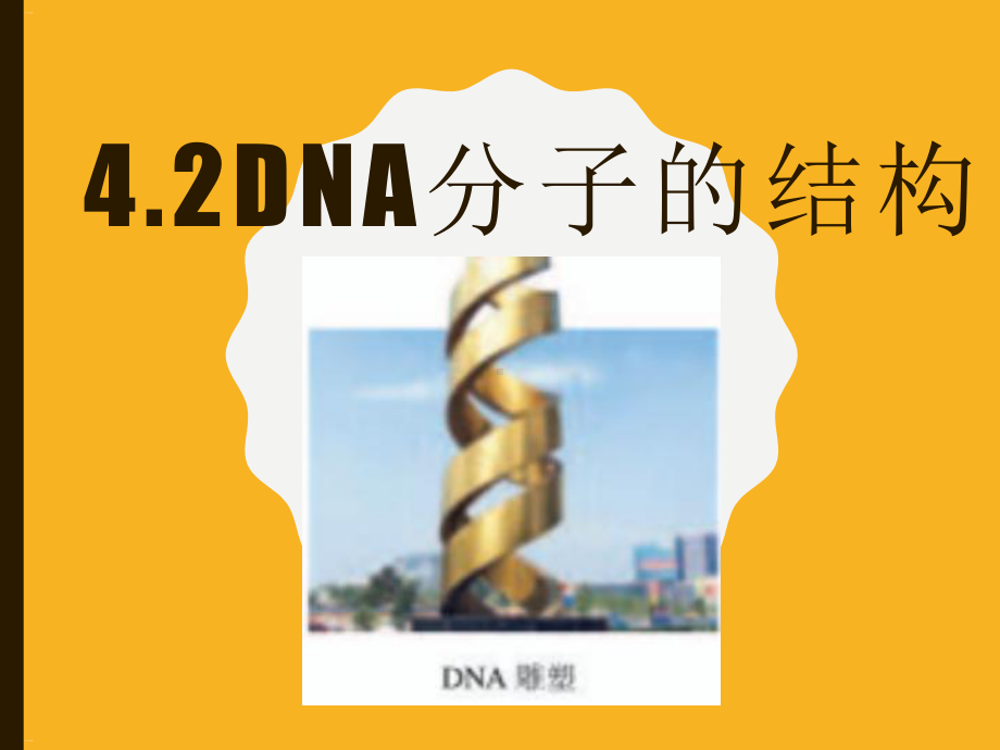 DNA分子的结构教学课件.pptx_第1页