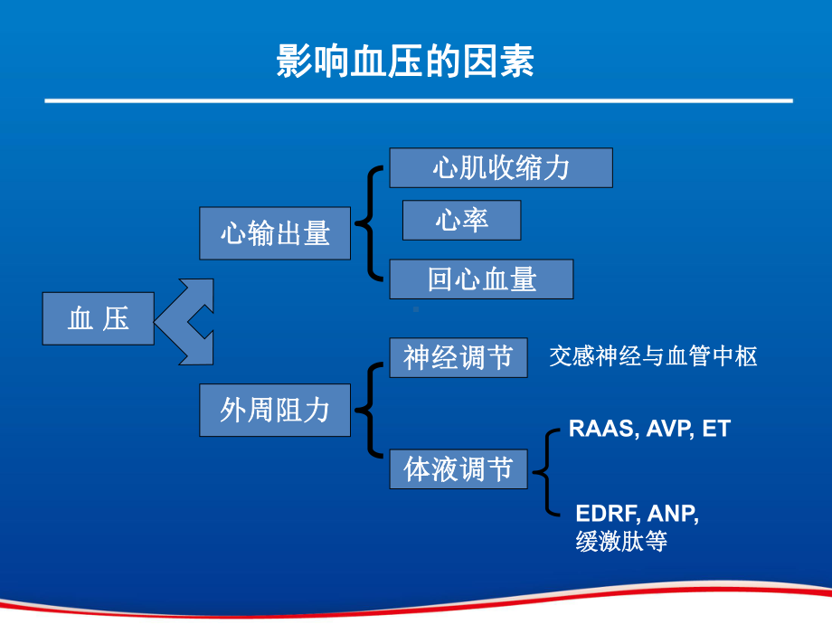 RAAS抑制剂保护之旅课件.ppt_第3页