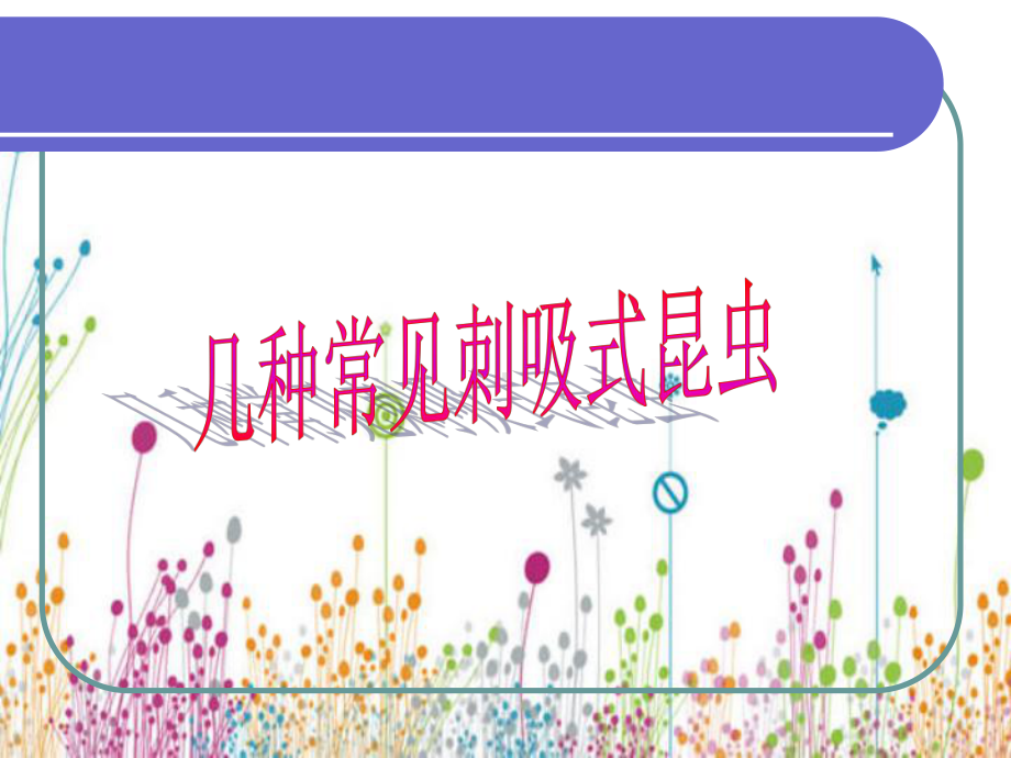 几种常见的刺吸式害虫课件.ppt_第1页