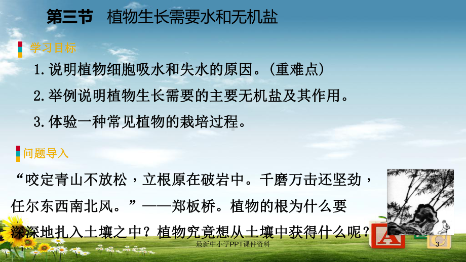 七年级生物上册第三单元第五章第三节植物生长需要水和无机盐课件新版苏教版.ppt_第3页