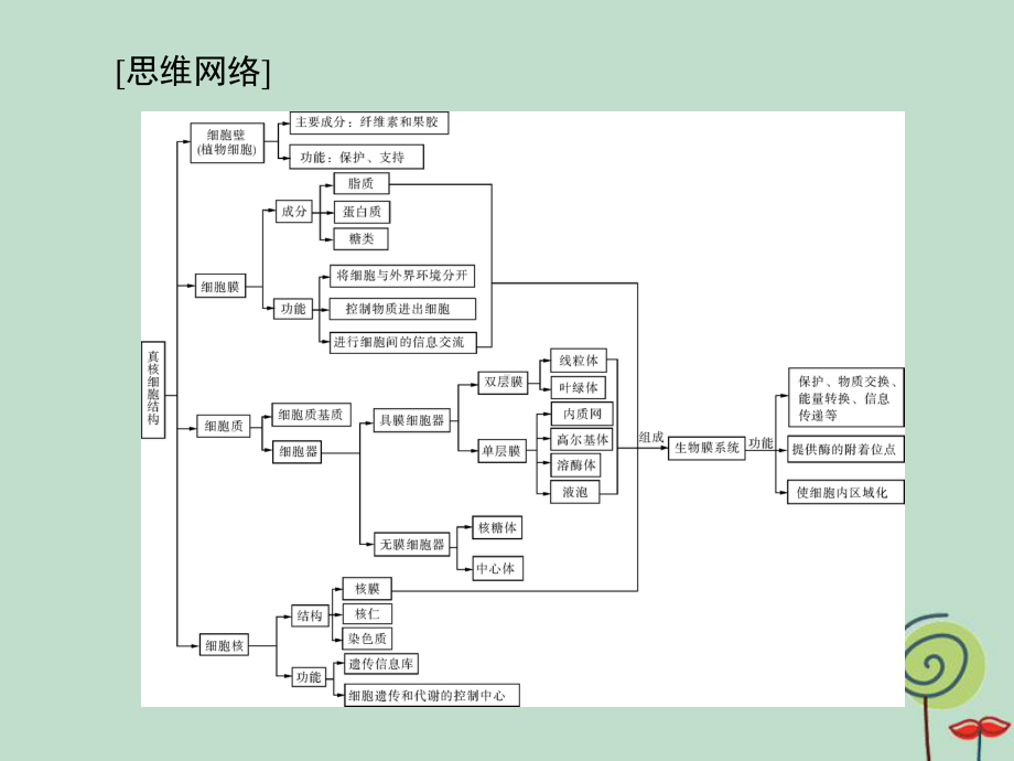 2020年高考生物一轮复习课件：必修1-第3章-第1、3节-细胞膜-系统的边界、细胞核-系统的控制中心.ppt_第3页