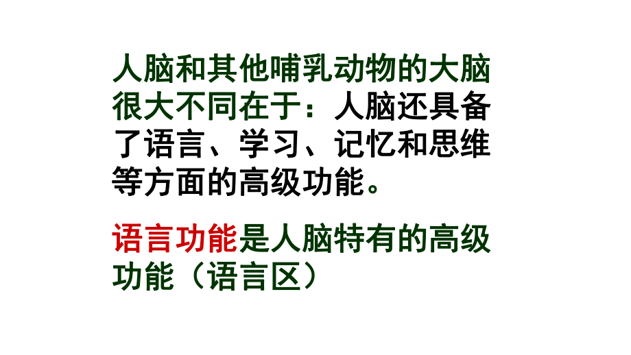 人教版生物选择性必修一25-人脑的高级功能课件.ppt_第3页