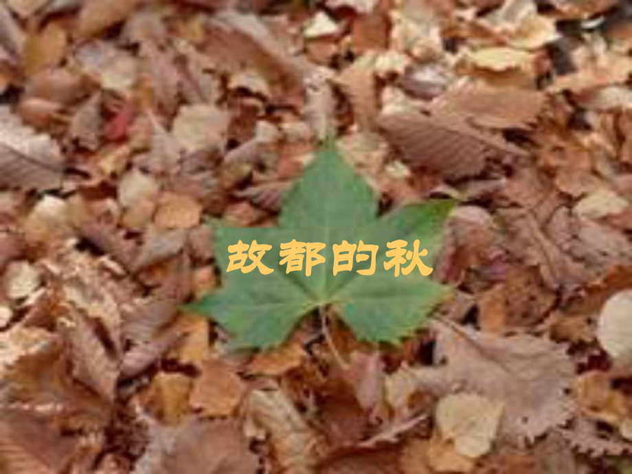 12《故都的秋》课件.ppt_第1页