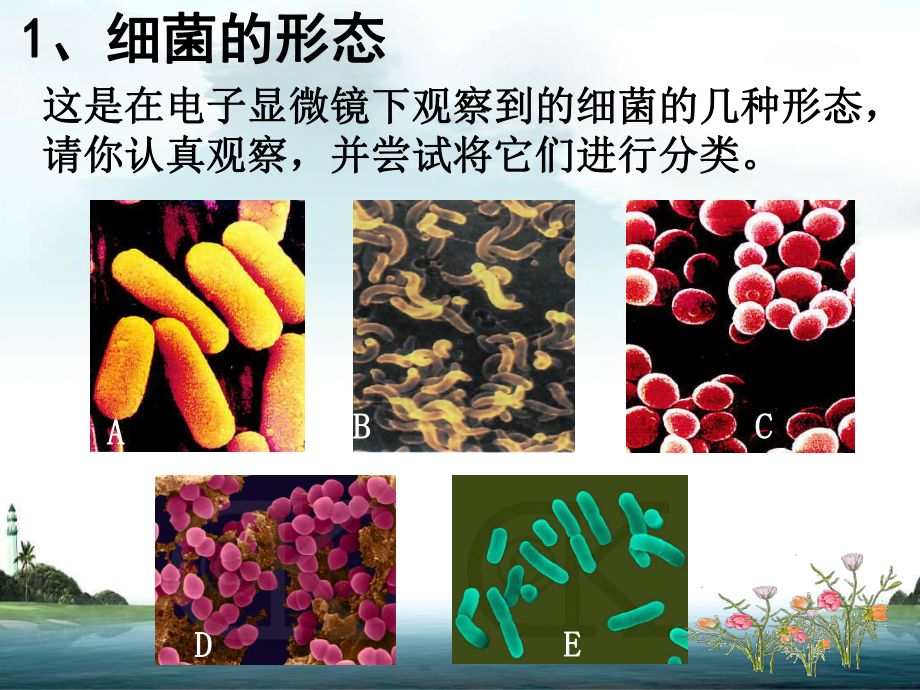 优质课北师大版八年级生物上册181《微生物在生物圈中的作用》课件.ppt_第3页