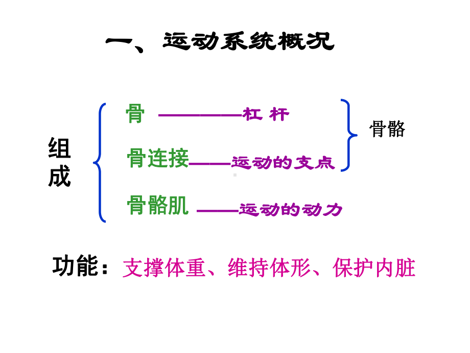 人的运动系统和保健课件.ppt_第2页