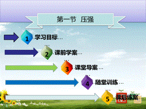 八年级物理下册第九章第一节压强习题课件新版新人教版.ppt