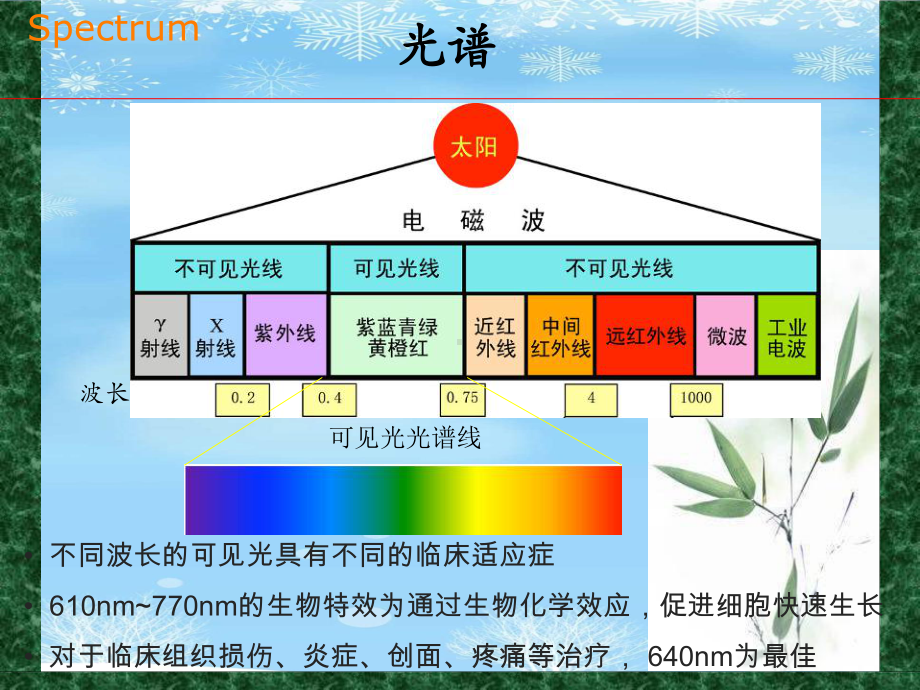 光子治疗仪2021完整版课件.ppt_第3页