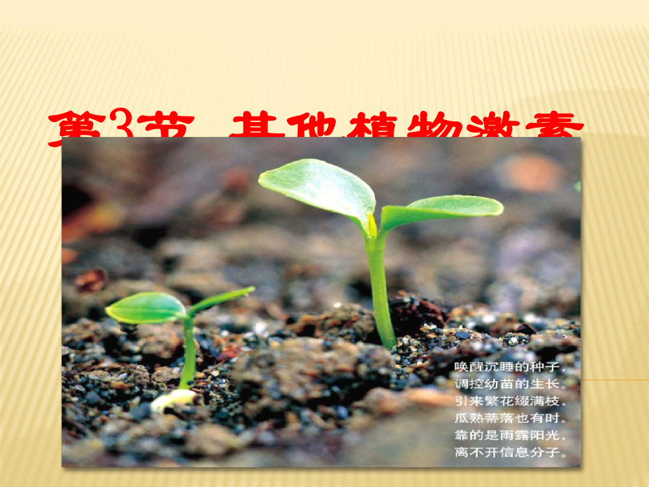 其他植物激素课件讲义.ppt_第1页