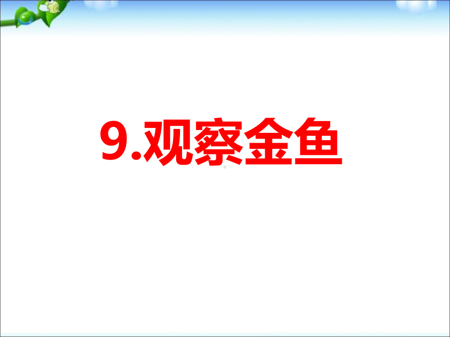 冀教版一年级科学上册第9课《观察金鱼》课件.ppt_第1页