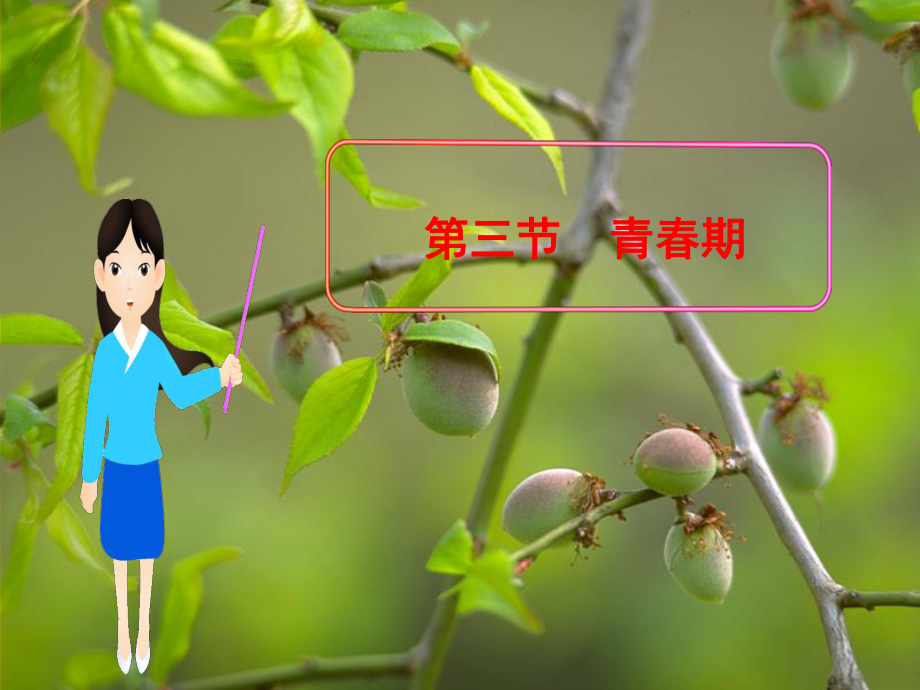 人教版七年级生物下册-第一章-第三节-青春期课件.ppt_第1页