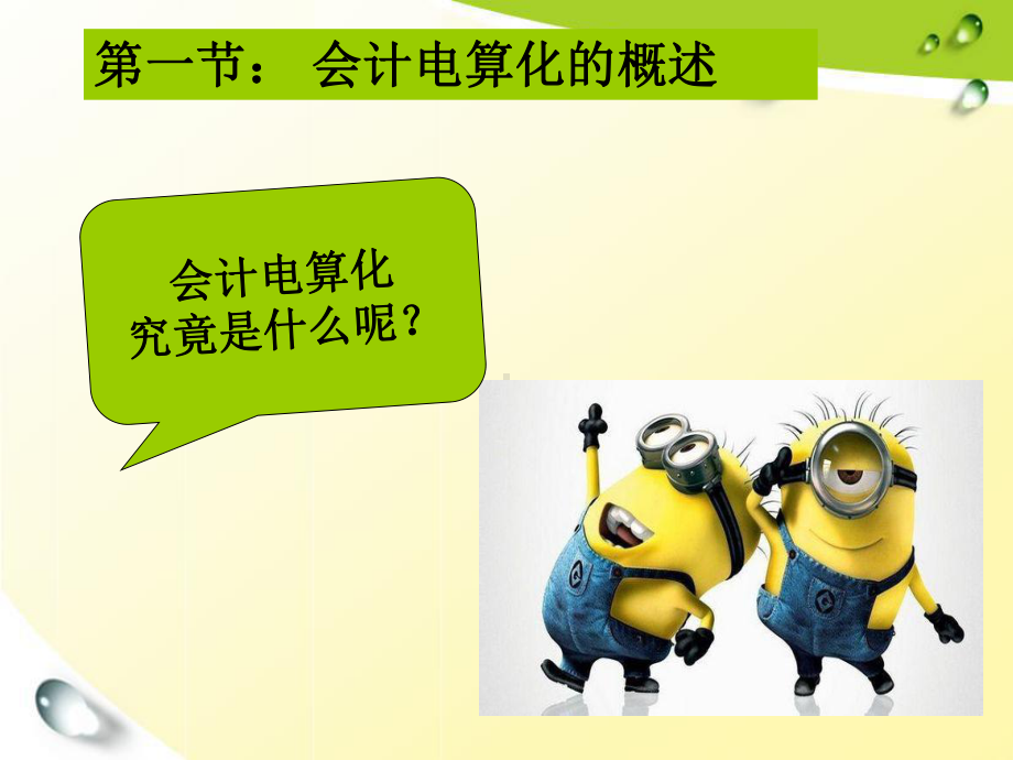 会计电算化第一章课件.ppt_第2页