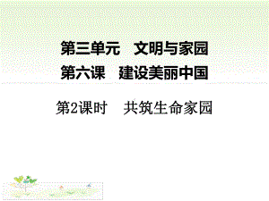 人教版九年级道德与法治上册62《共筑生命家园》课件(共教学课件).ppt