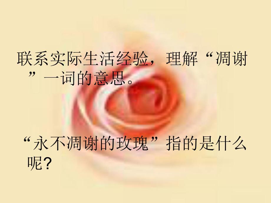 《永不凋谢的玫瑰》课件.ppt_第2页