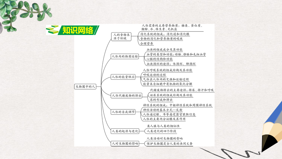 中考生物+重点专题突破+专题五+生物圈中的人复习课件.ppt_第2页