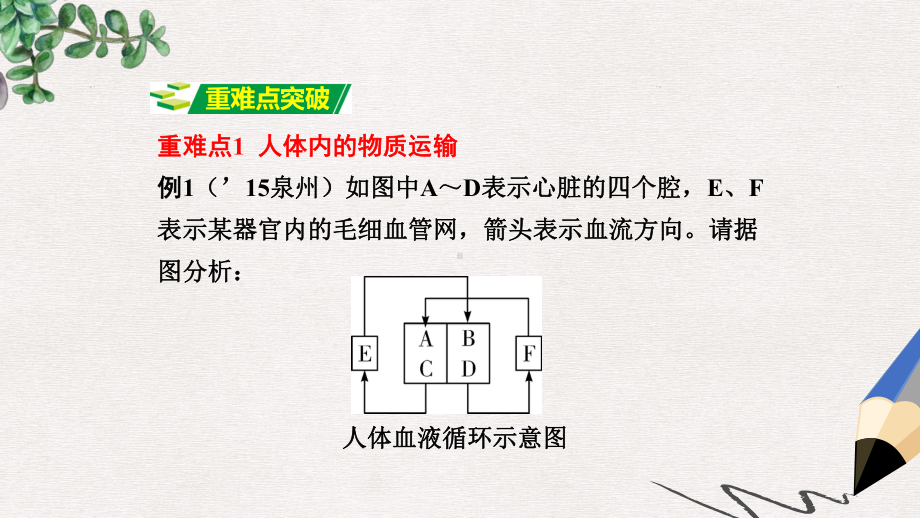 中考生物+重点专题突破+专题五+生物圈中的人复习课件.ppt_第3页