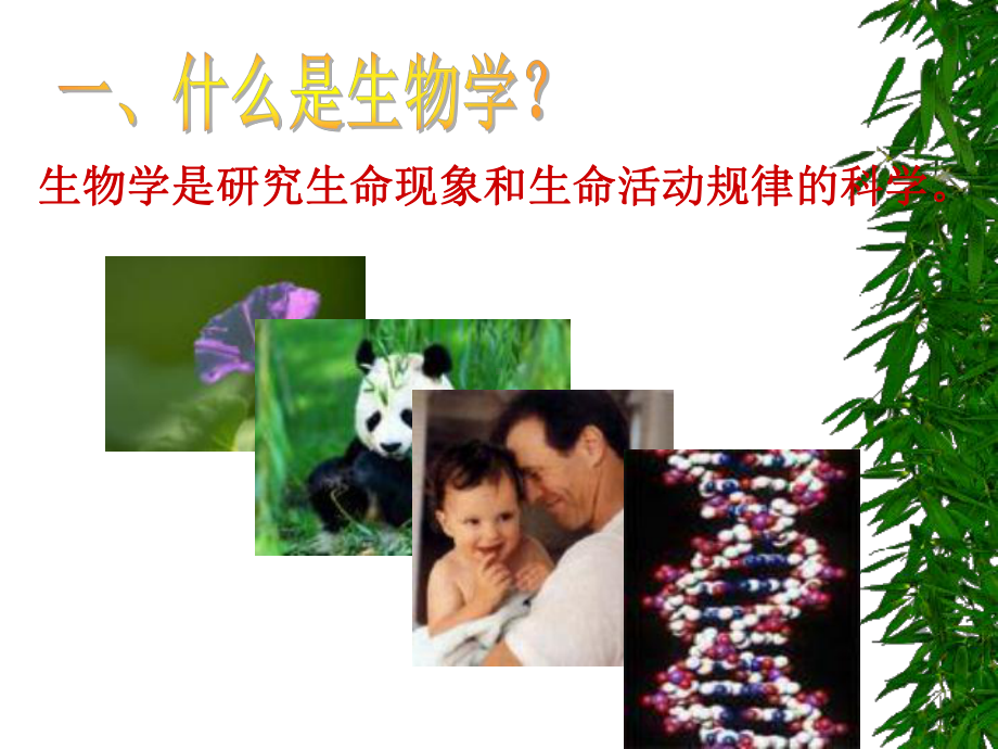 初一生物开学第一课-致同学们课件.ppt_第2页