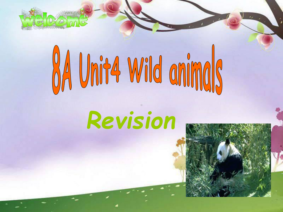 Unit4-Wild-animals-复习(牛津译林版八上)课件.ppt_第1页