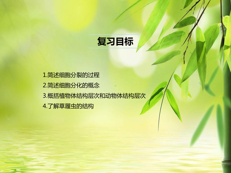 人教版七年级上册生物第2章细胞怎样构成生物体章末复习课件.pptx_第2页