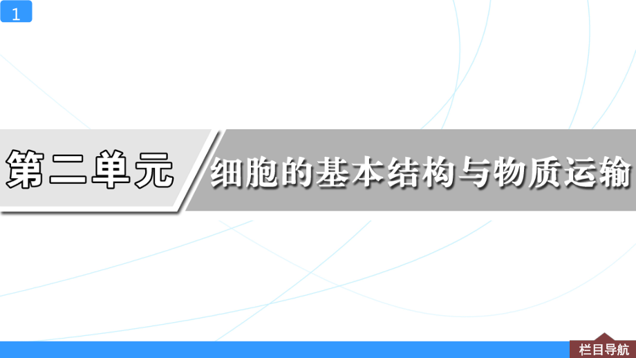 一轮复习课件细胞器和生物膜系统.ppt_第1页