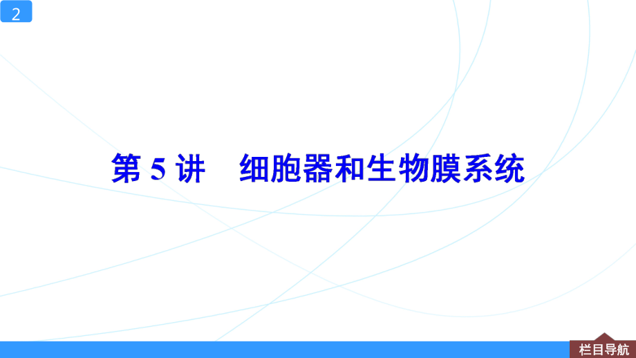 一轮复习课件细胞器和生物膜系统.ppt_第2页