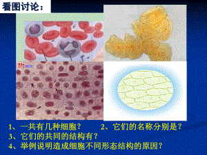 优质课人教版高一生物必修1第一章《走近细胞》课件.ppt