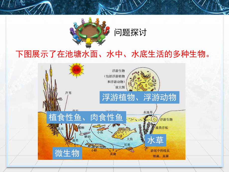 优质课-人教版高中生物必修三43《群落的结构》课件.ppt_第3页