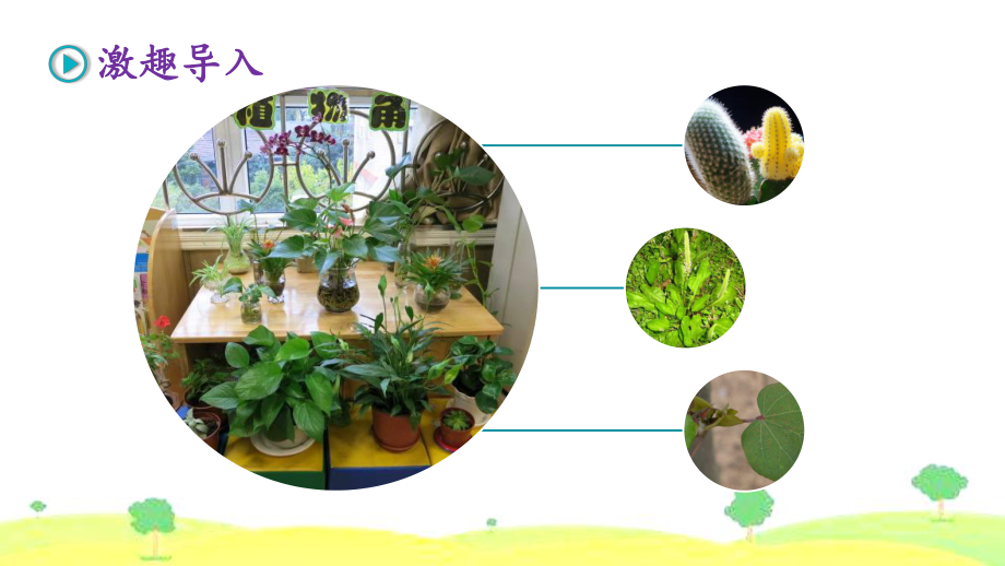 （语文）部编人教版小学语文三年级下册第1一单元-习作-我的植物朋友优质公开课课件.ppt_第3页