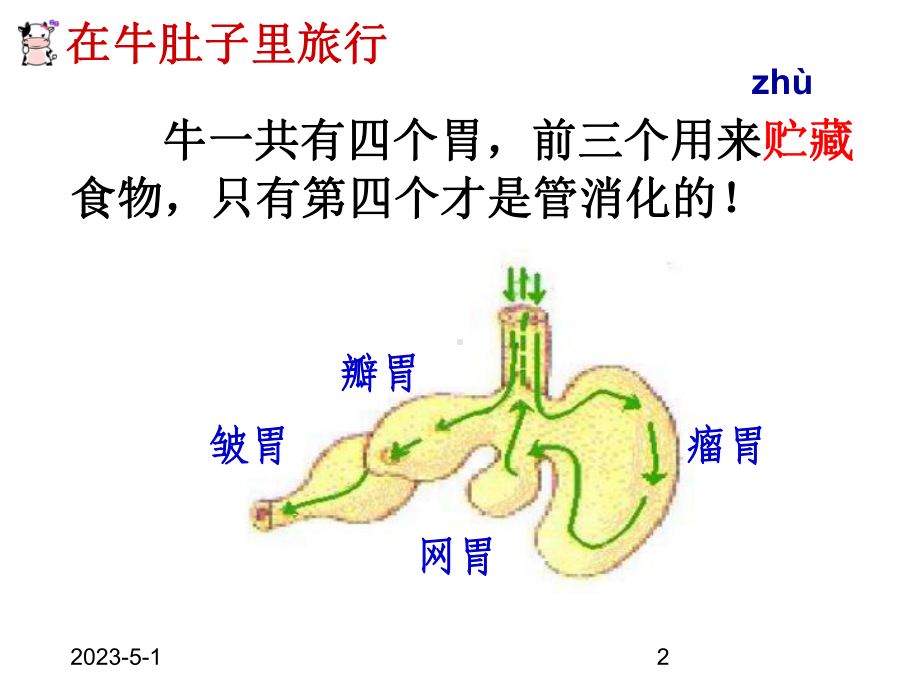 -最新人教部编版小学三年级上册语文10-在牛肚子里旅行2课件.ppt_第2页