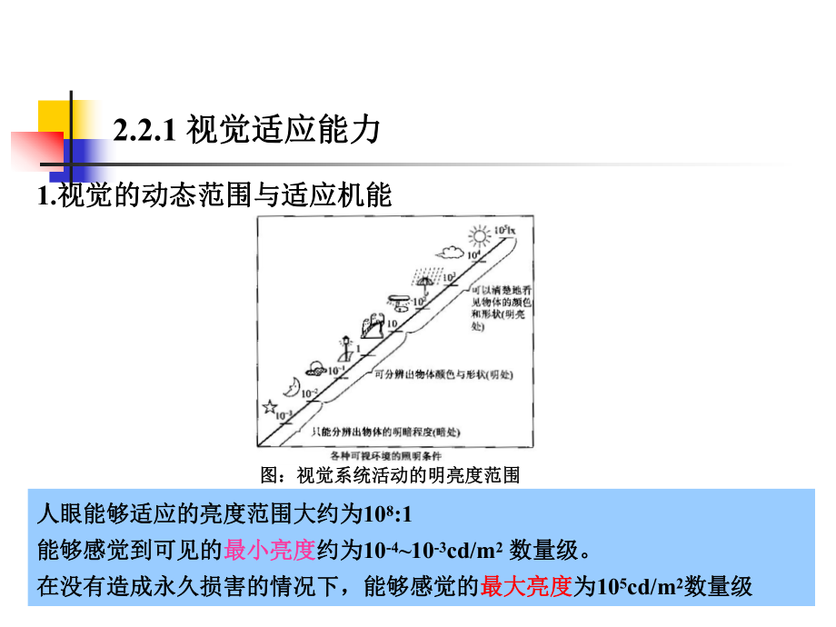 与显示技术有关的视觉特性课件.ppt_第2页