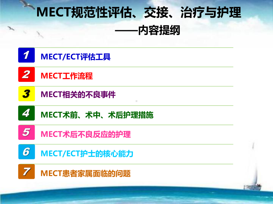 MECT规范性评估、交接、治疗与护理课件.pptx_第2页